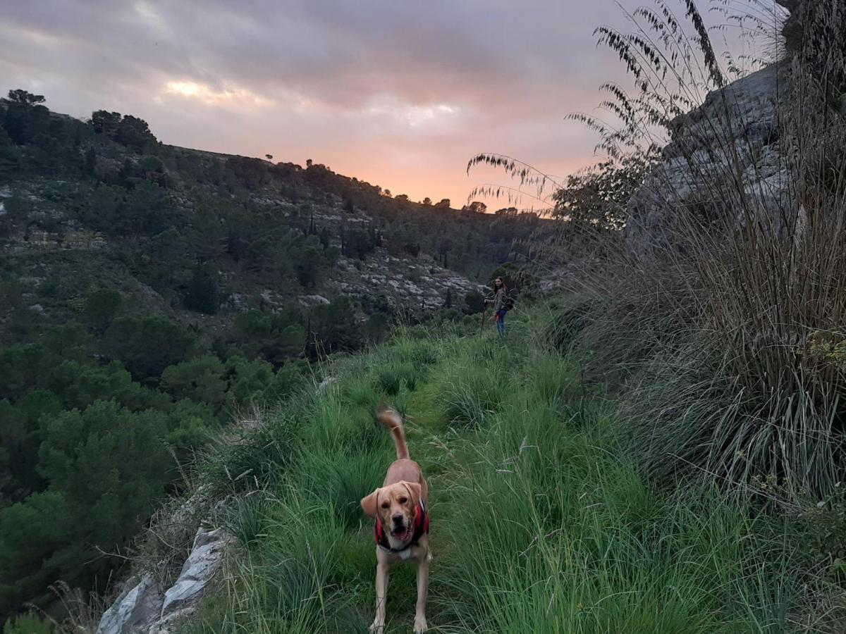 Pura Vida Barocca Otel Ragusa Dış mekan fotoğraf